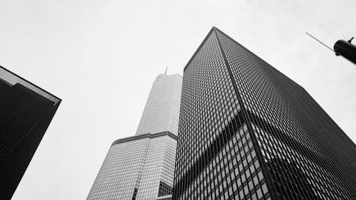 Low Angle Shot of Modern Skyscrapers in City 