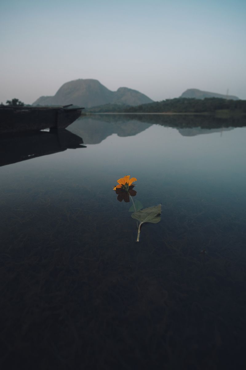 pic