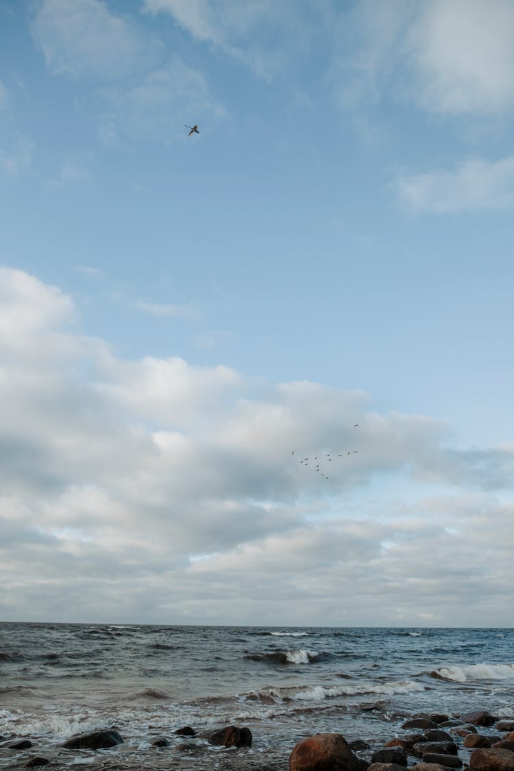 Birds Flying Under Clouds On Sea Shore