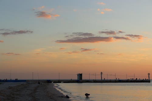 Fotobanka s bezplatnými fotkami na tému breh, ľudia, mólo