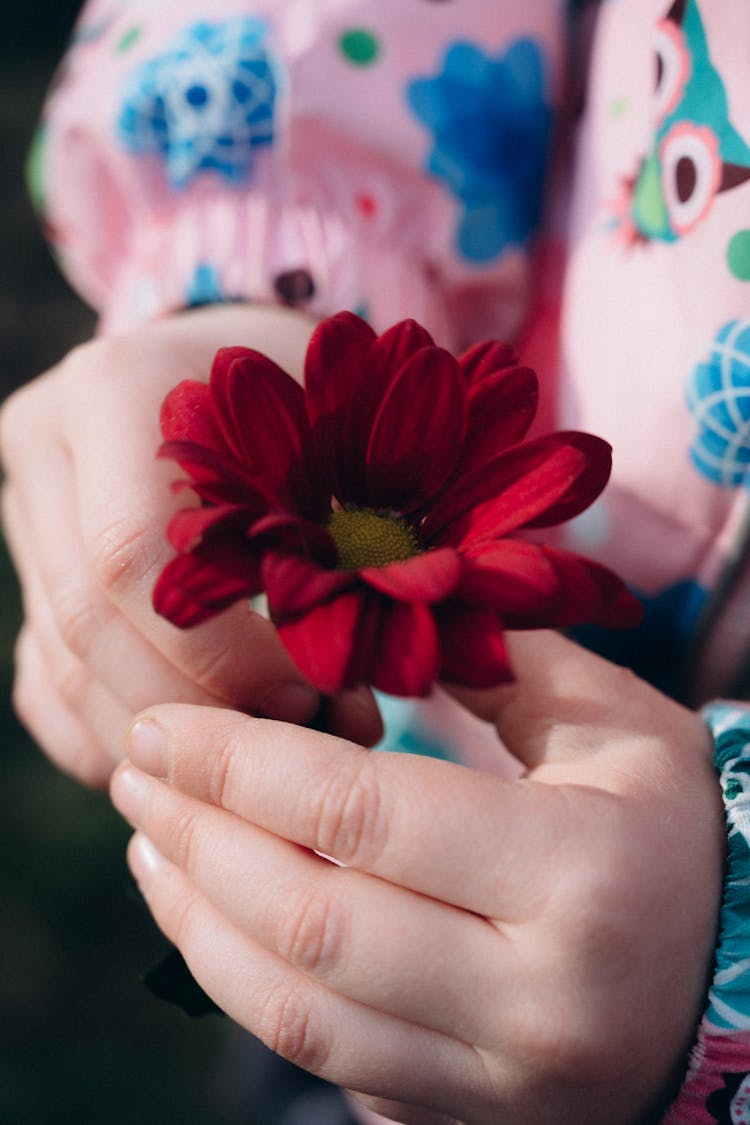 Flower In Child Hands