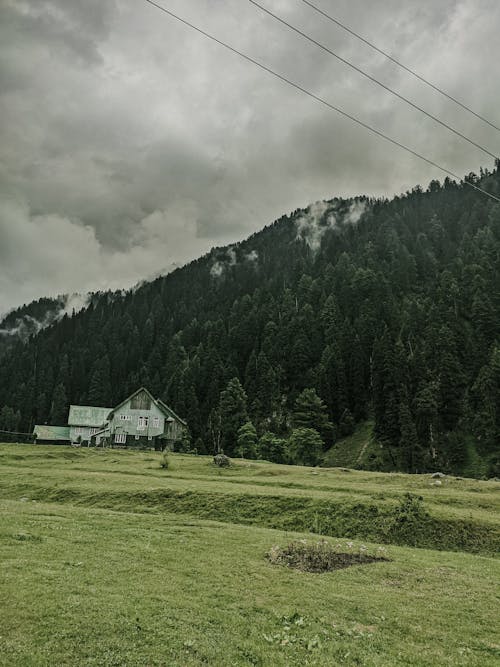 Бесплатное стоковое фото с вертикальный выстрел, деревья, дом