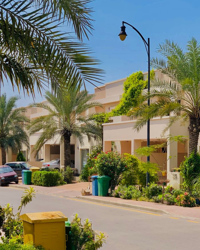 Residential street with palm trees