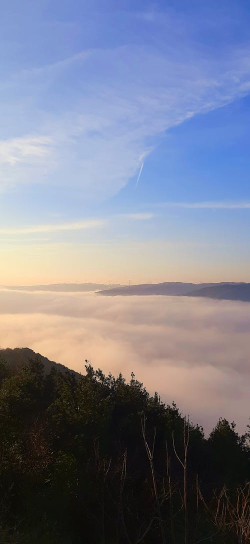 Free stock photo of beautiful sky, bluesky, fog