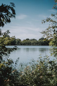 郁郁葱葱的树木与平静的海水交相辉映，湖景宁静，尽显自然之美