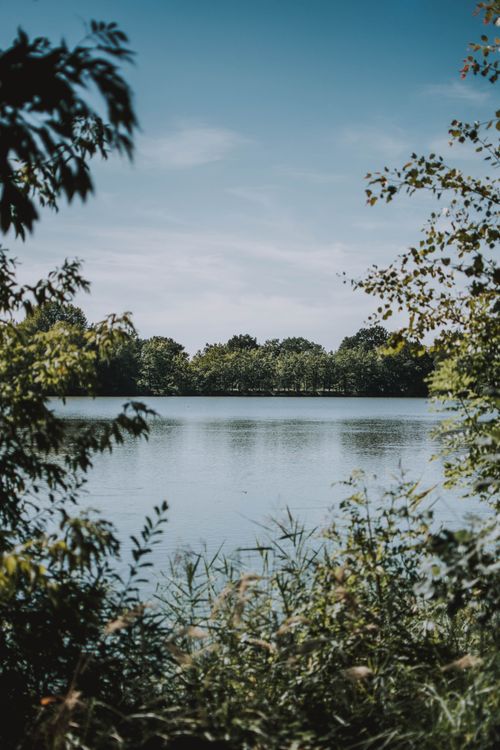 Free A tranquil lake scene framed by lush trees and calm waters, showcasing natural beauty. Stock Photo