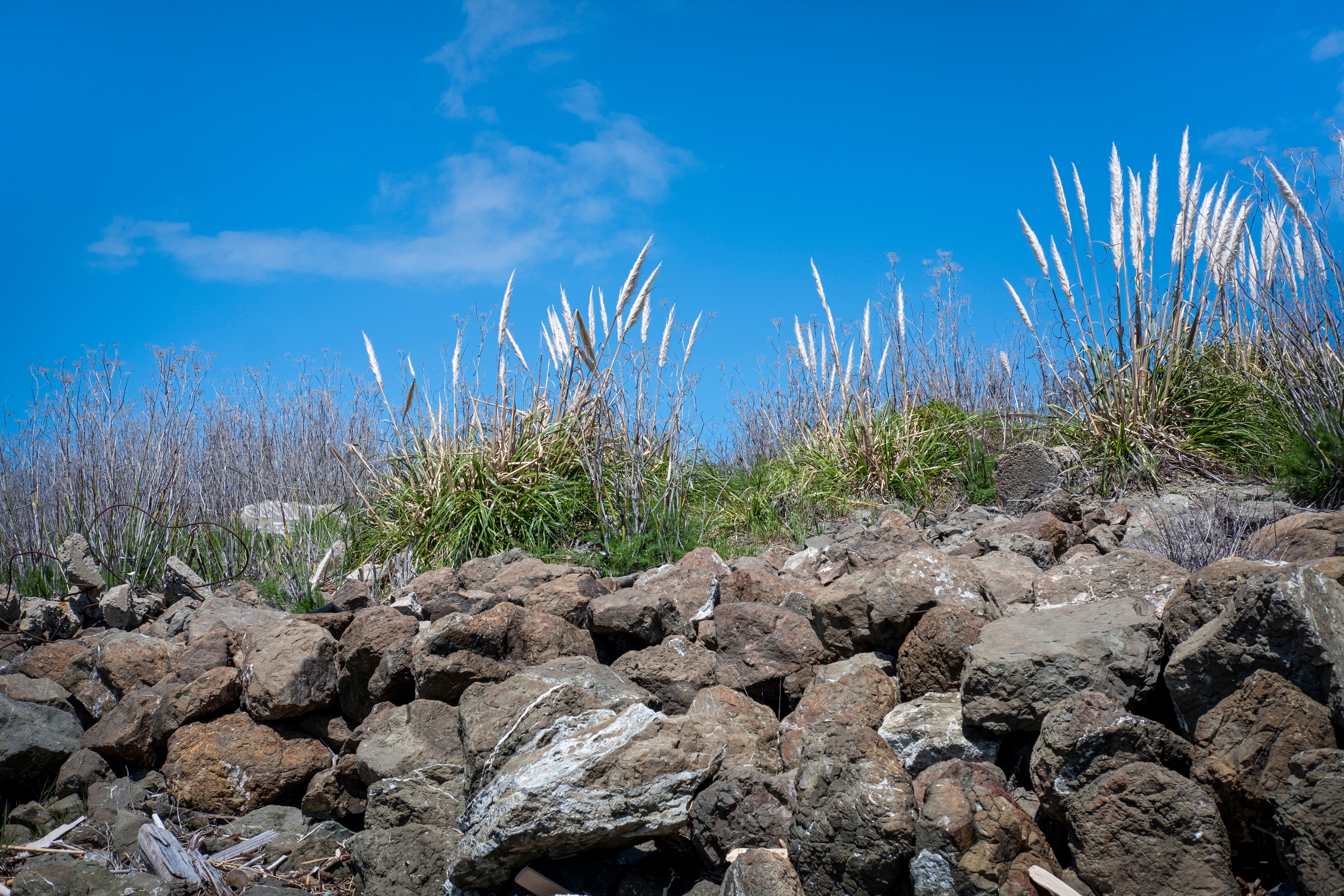 Rocks and Grass under a Clear Blue Sky · Free Stock Photo