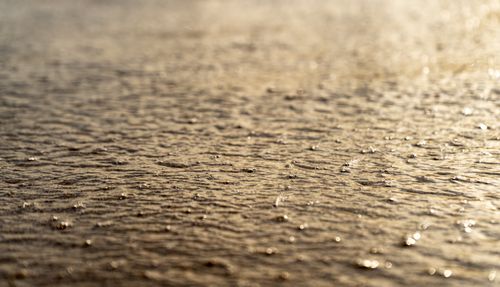 Free Capture of gentle ripples in water on a serene beach at Fort Lauderdale during sunset. Stock Photo
