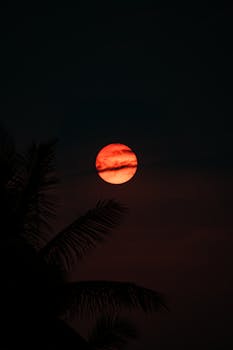 image.mefiz.com