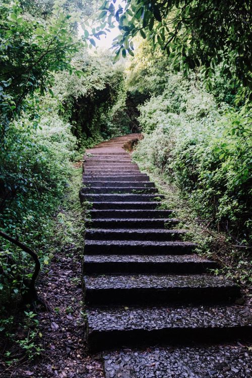 Free A peaceful stone stairway surrounded by lush greenery in a forest setting, ideal for nature exploration. Stock Photo