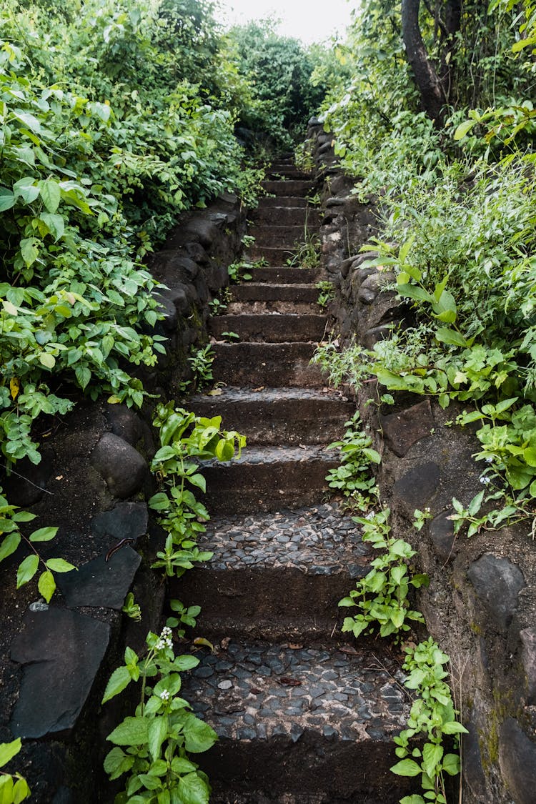 Old Stone Steps