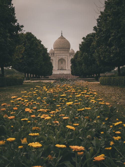 Imagine de stoc gratuită din agra, culorile din india, India