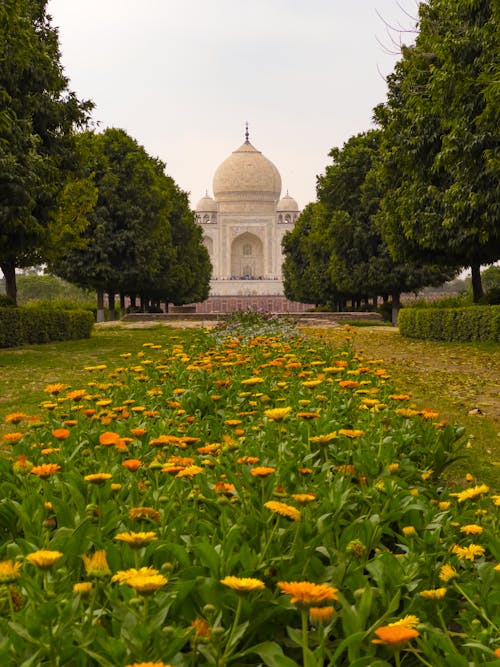 Imagine de stoc gratuită din agra, culorile din india, India