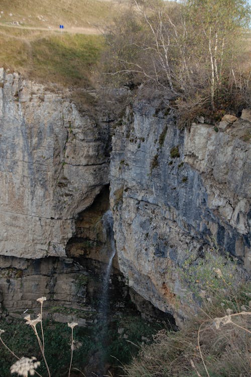 Darmowe zdjęcie z galerii z drzewa, erozji, krajobraz