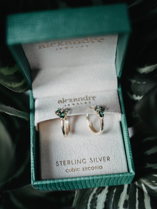 Silver Earrings in Jewelry Box
