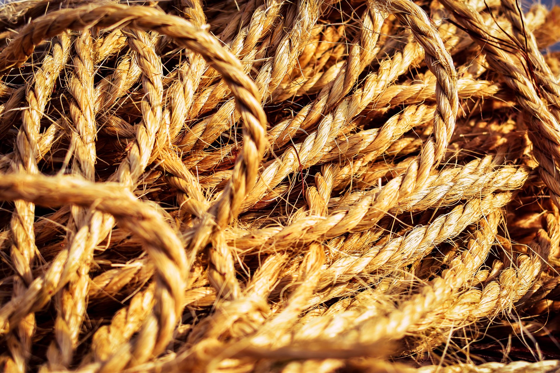 Detailed close-up of intertwined natural fiber ropes showcasing texture and complexity.