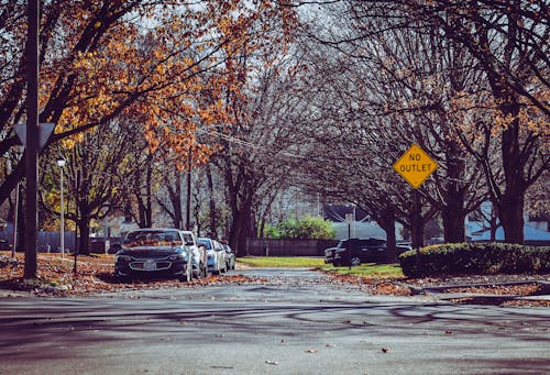 Cars Parked Beside Trees