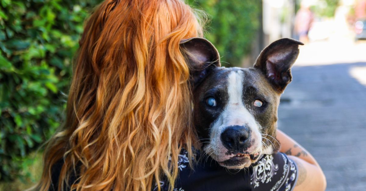 A woman with red hair lovingly holds a blind dog in a sunny outdoor setting.
