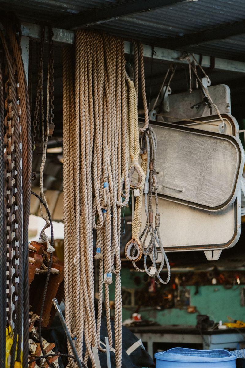 Safety Harness