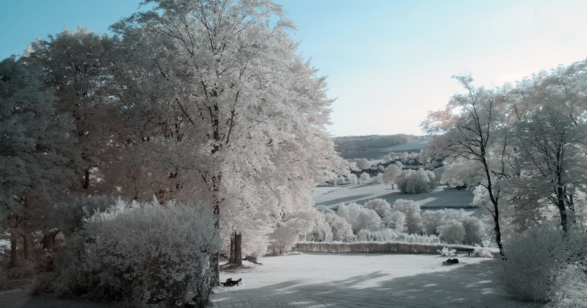 California Solar Installation: Complete 2025 Guide