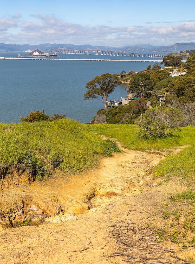 Richmond-San Rafael Bridge Seen From A Cliff In Distance, San Francisco, California 