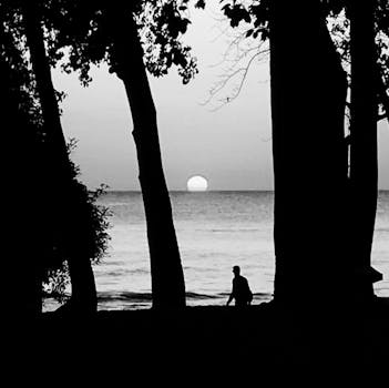 Serene black and white sunset scene with silhouette of person on a Barbados beach.
