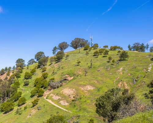 Free A beautiful scenic view of a lush green hilltop under a clear blue sky, ideal for nature lovers. Stock Photo
