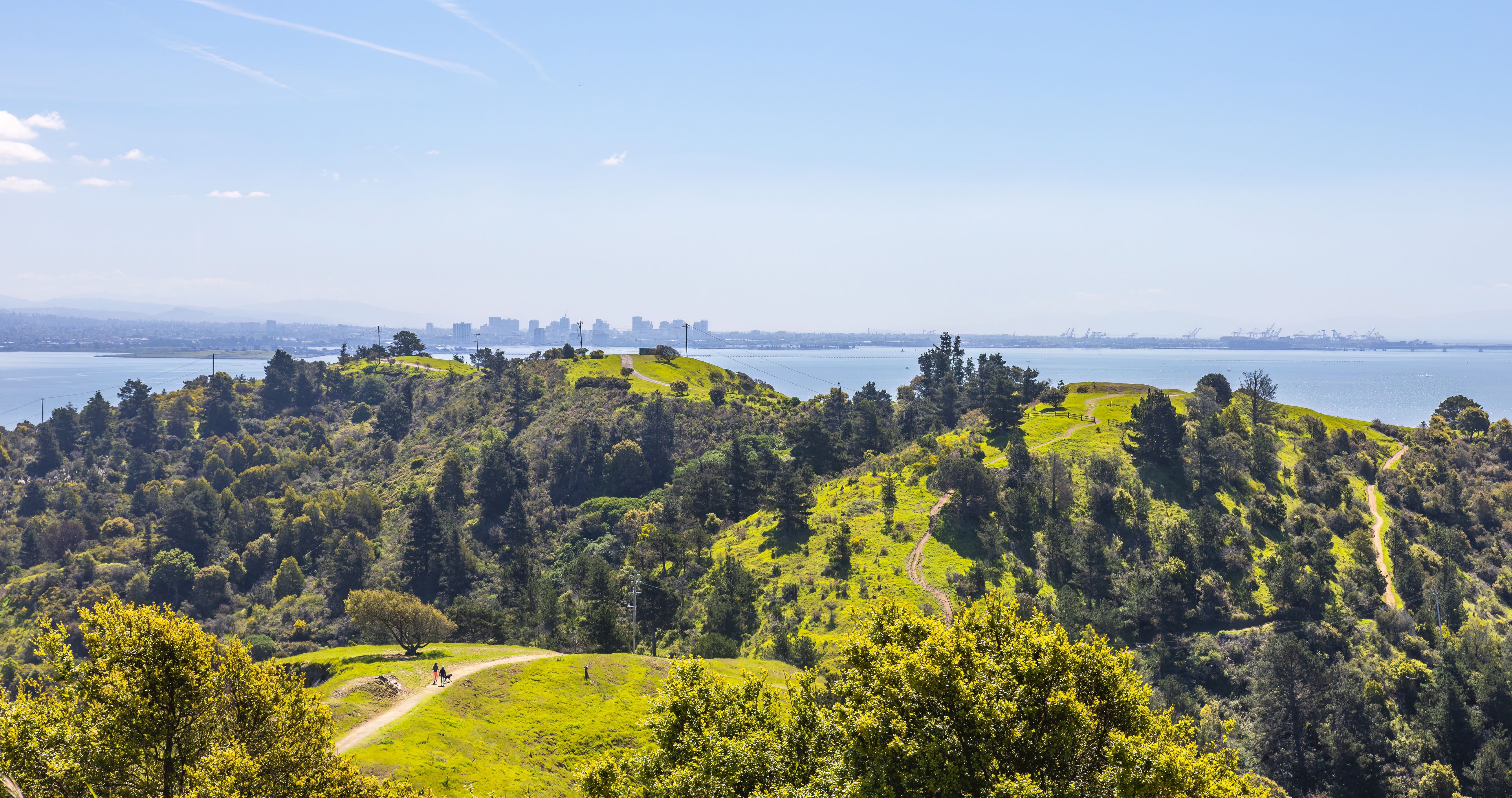 The scenic Bankers Hill neighborhood overlooking the San Diego skyline and bay - 1 bedroom apartments with views san diego