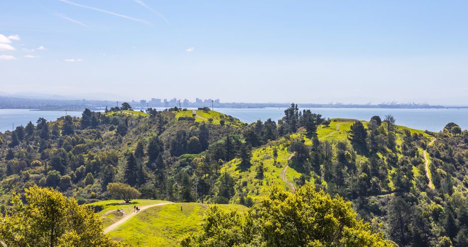 The scenic Bankers Hill neighborhood overlooking the San Diego skyline and bay - 1 bedroom apartments with views san diego The scenic Bankers Hill neighborhood overlooking the San Diego skyline and bay - 1 bedroom apartments with views san diego