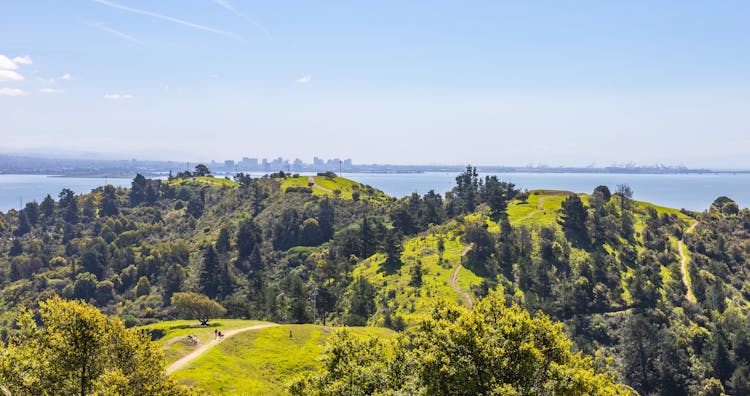 Aerial View Of Grass Hills And Trees On The Background Of A Bay And City In Distance 