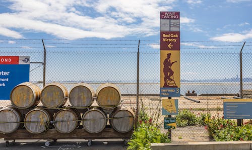 Безкоштовне стокове фото на тему «винні бочки, виноградник, дегустація вин»