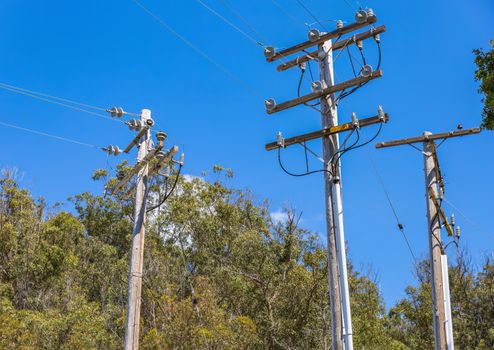 Photo by Robert So Wooden utility poles with power lines and a blue sky backdrop. Ideal for energy and utility themes.
