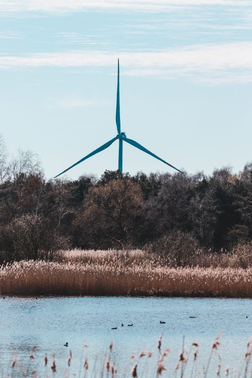 Free Picturesque landscape of a calm lake, trees, and a prominent wind turbine. Stock Photo