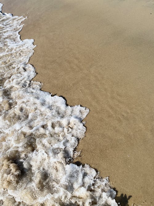 Foto stok gratis busa laut, gelombang, laut