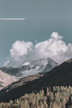 宁静的山地景观中，白雪皑皑的山峰、树木与晴朗天空下的飞机跑道相映成趣