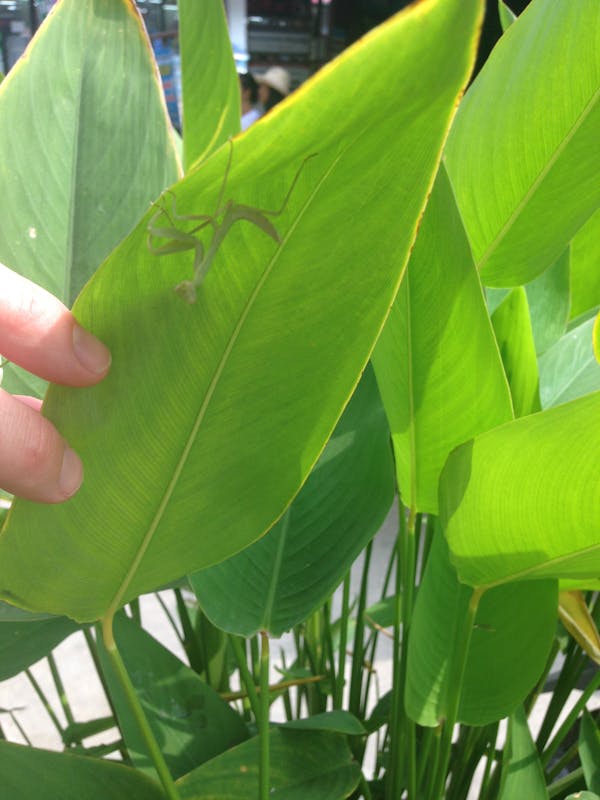 Indulgencias: El Tesoro Oculto de la Iglesia que los Protestantes Temen