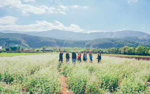 Group Of People Standing On Field Of Plants