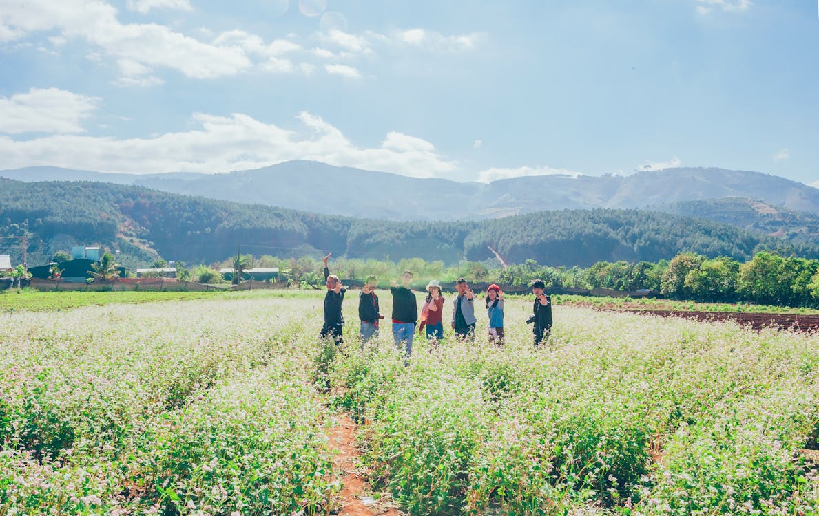 Group Of People Standing On Field Of Plants