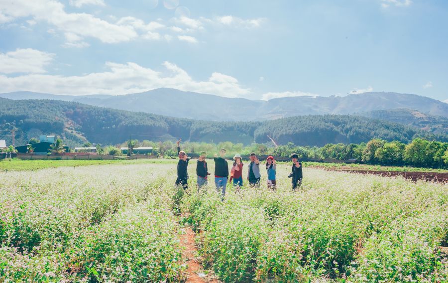 The team walking through a meadow on the annual offsite — photo by Min An on Pexels