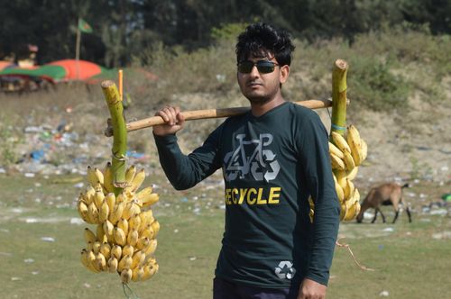 Free A man with sunglasses carries bunches of bananas on his shoulder at Cox's Bazar, Bangladesh. Stock Photo