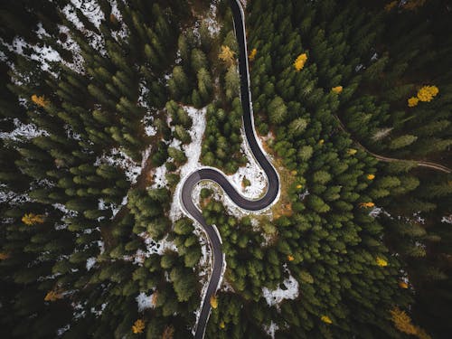 Free Bird's Eye View Of Roadway Surrounded By Trees Stock Photo