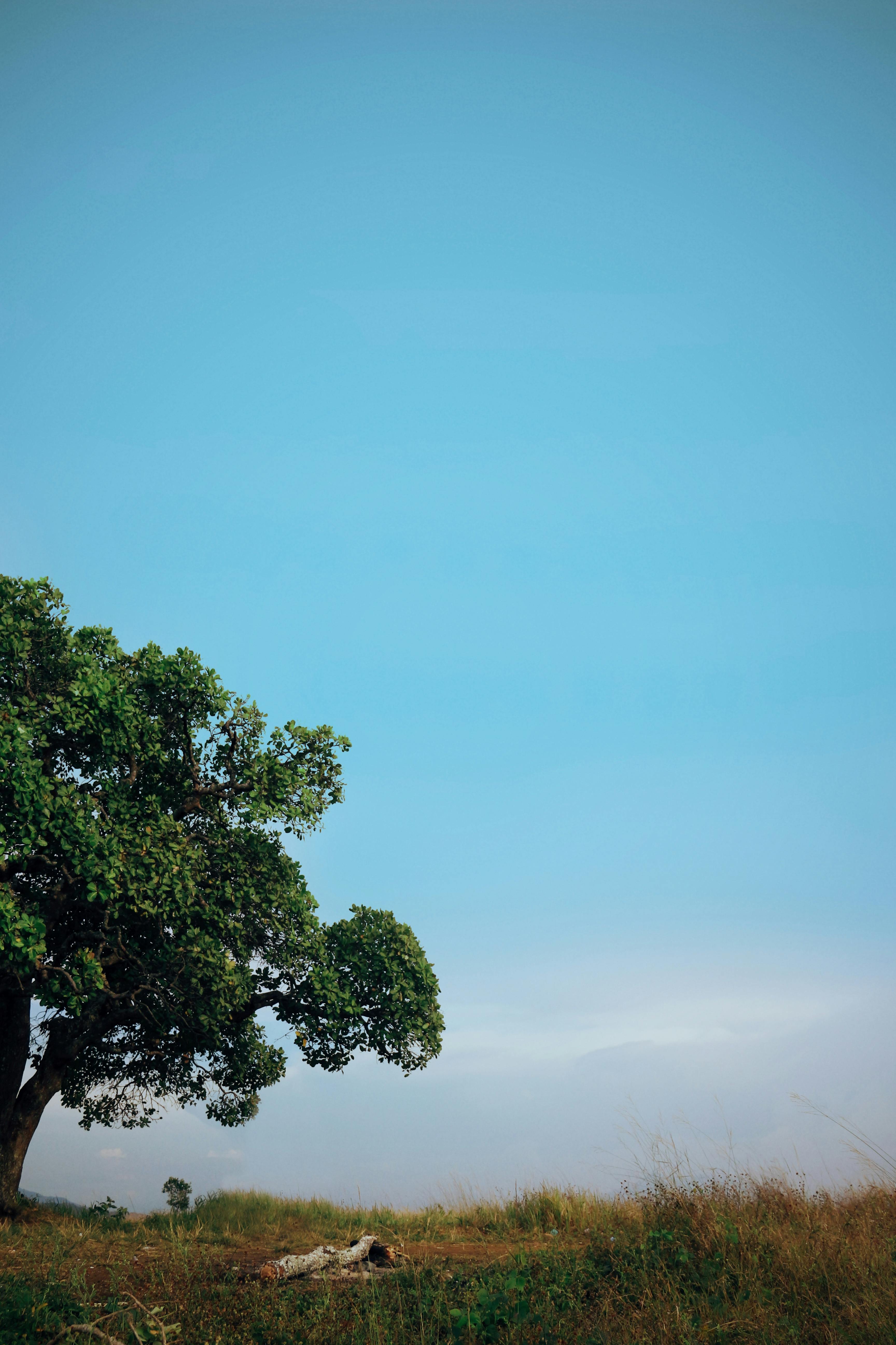 15 Gambar  Langit Cerah  Kumpulan Gambar  Pemandangan