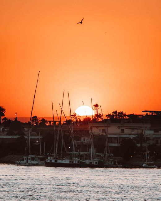 A picturesque sunset in Luxor, Egypt, highlighting the riverfront with sailboats and vibrant skies.