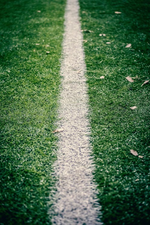 Kostnadsfri bild av fotboll, gräs, jord