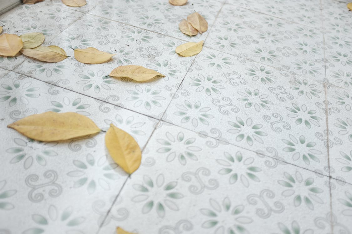 Free Withered Leaves on Floor Stock Photo