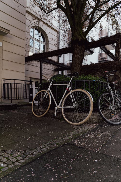 Bicycles near Building