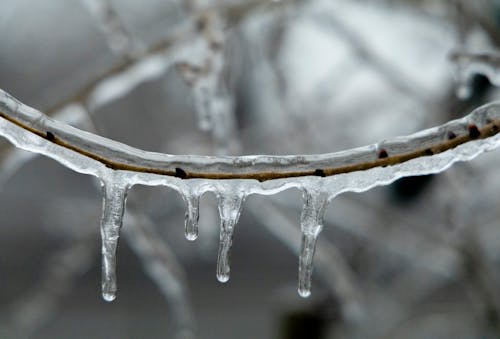 freezy, H2O, ICEE 的 免费素材图片