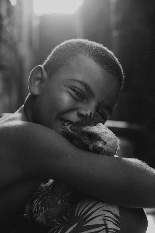Imagine de stoc gratuită din alb-negru, animal, băiat