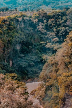 在日光下，充满活力的绿色峡谷景观、茂密的树木和大胆的色彩被捕捉下来