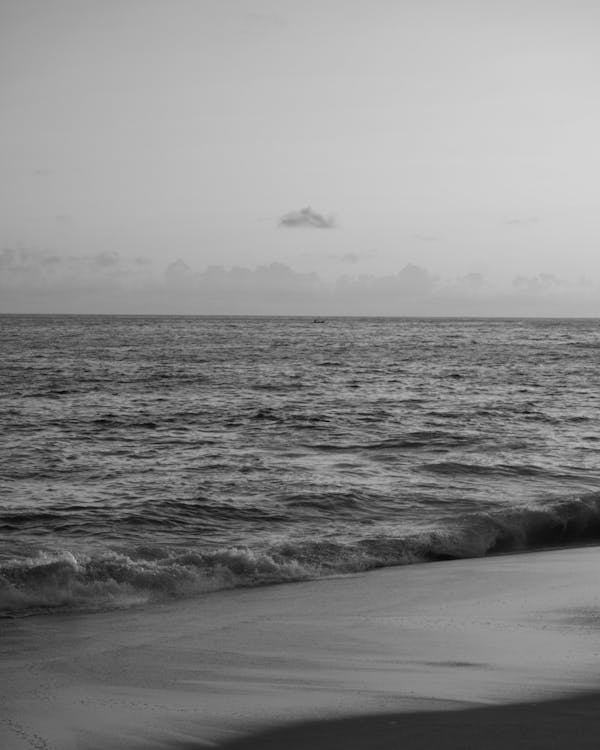 Sea Shore in Black and White